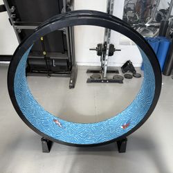 One Fast Cat Exercise Wheel