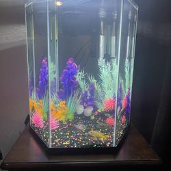Fish Tank