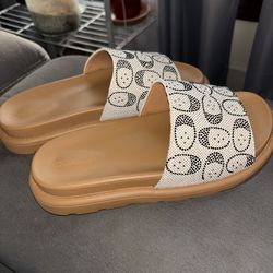 Coach slides