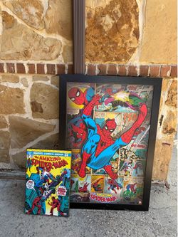 Spider-Man picture frame 2 pieces