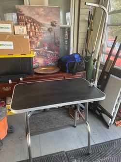 Grooming Table