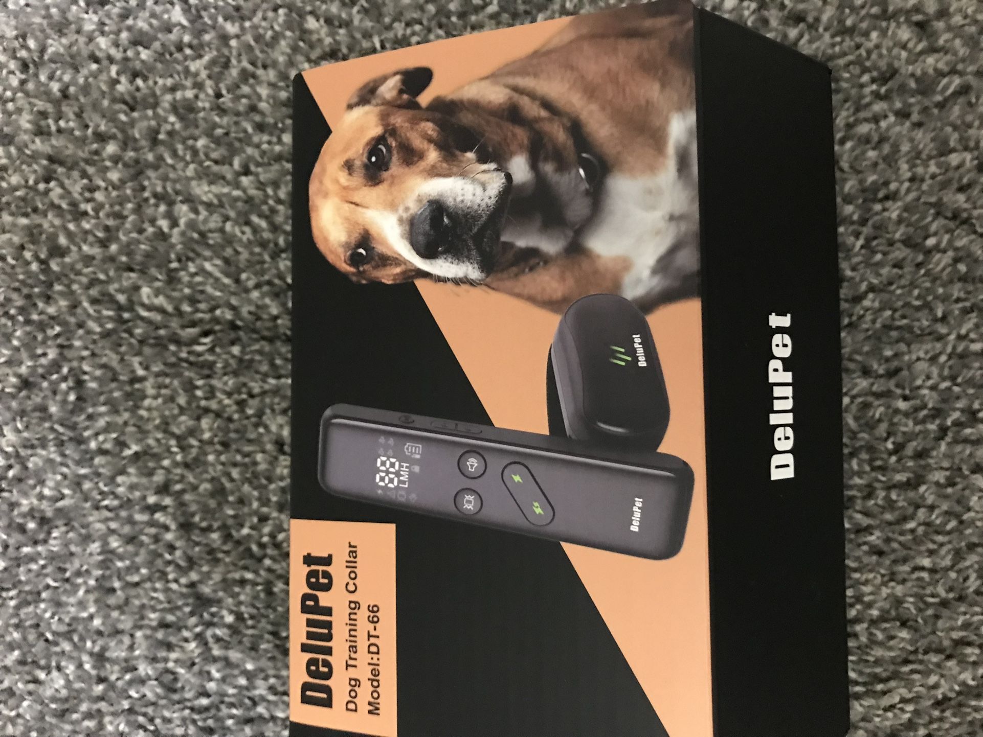 Dogs Trainer