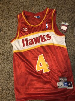 Atlanta hawks