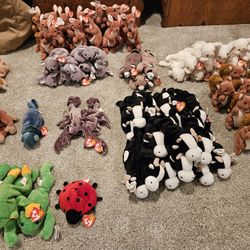 Beanie Babies