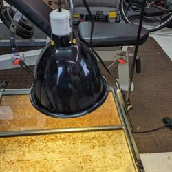 Lizard/ Bearded Dragon Tank