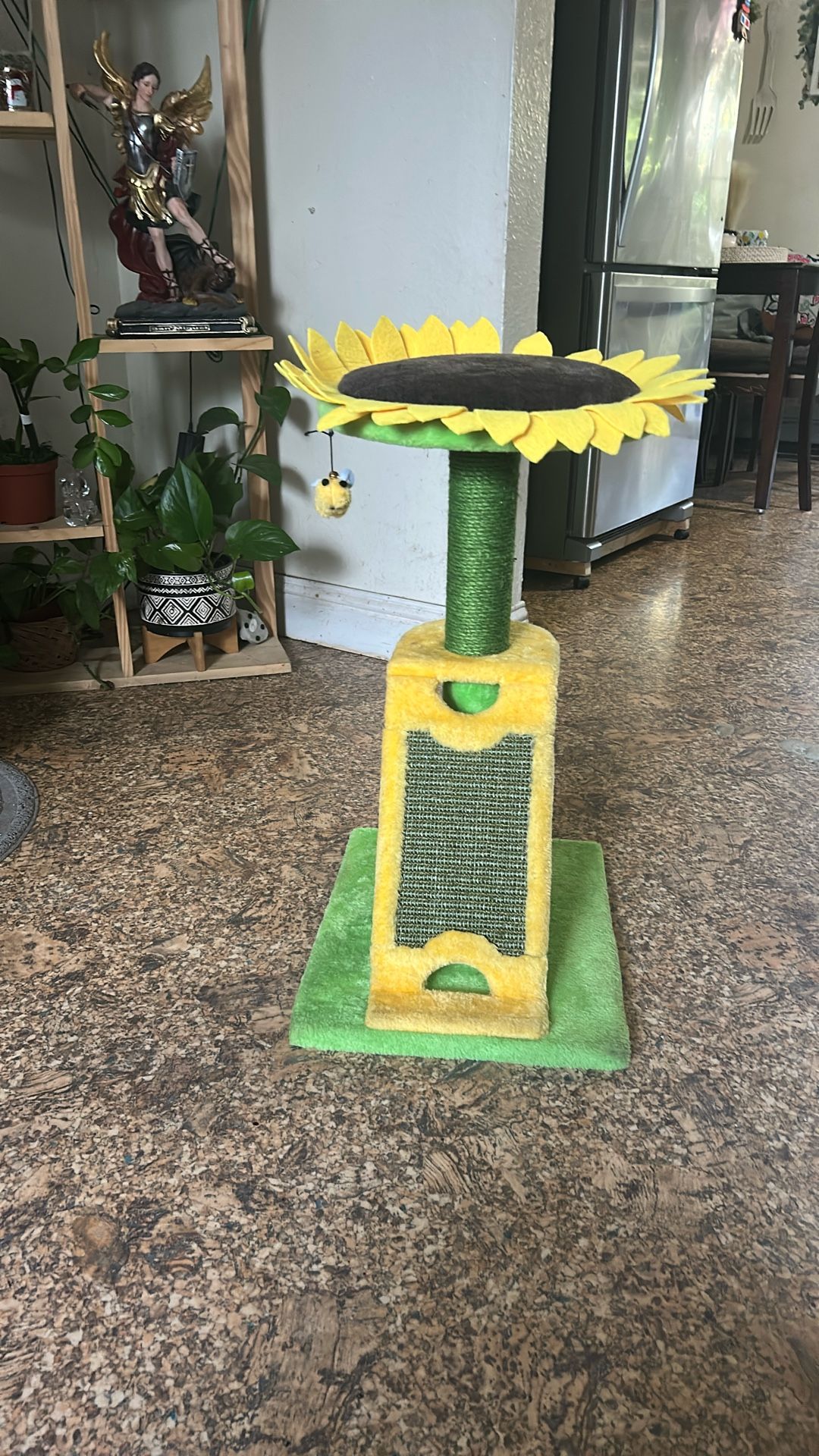 Cat Sun Flower Bed