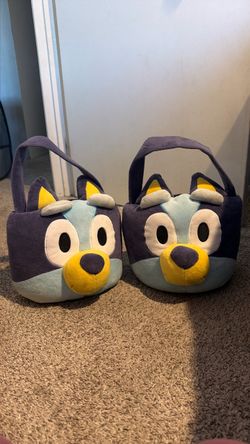 BLUEY baskets