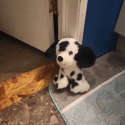 Selling This Stuff Animal. It Is Real https://offerup.com/redirect/?o=Rmx1ZmZ5Lml0 Is For $3