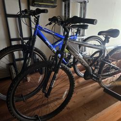2 Bikes 100$