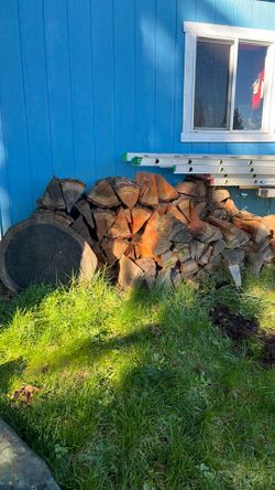 Firewood free today