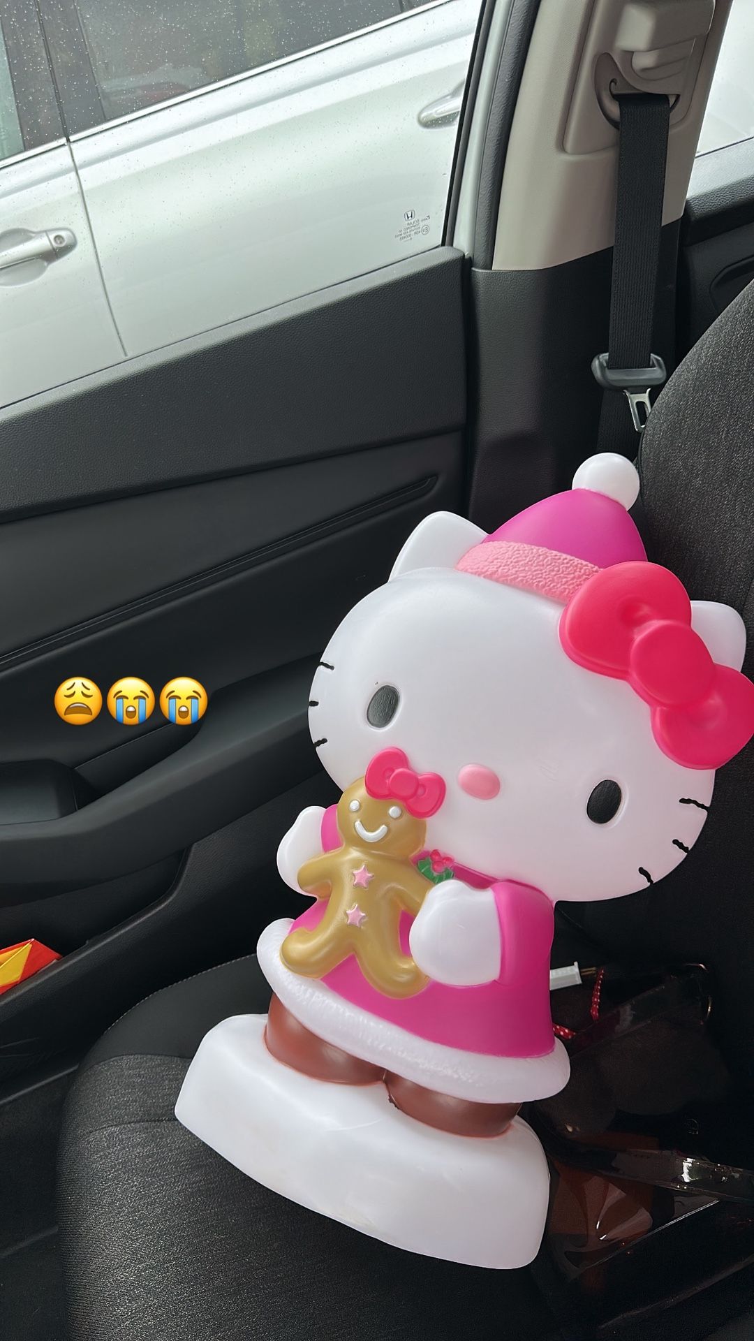 Hello Kitty Light Decor