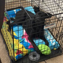DOG CRATE 