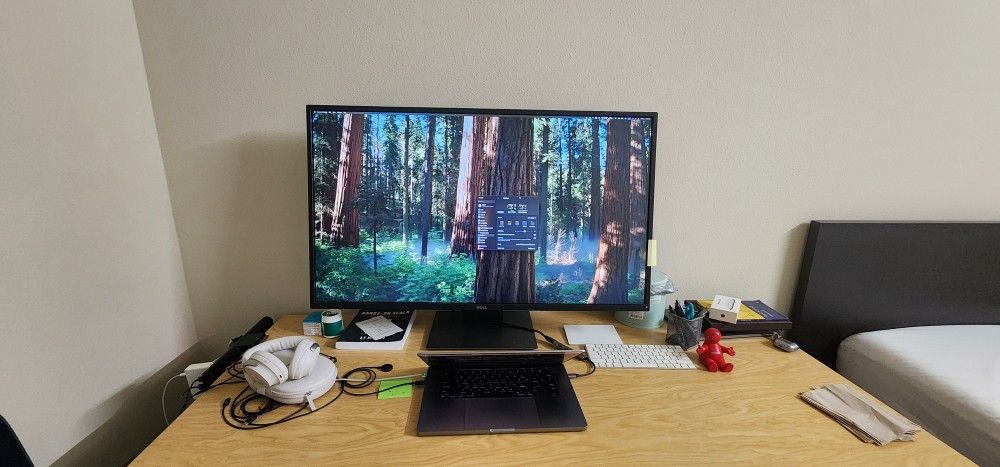 Dell 43" 4k IPS Multi-client Monitor P4317Q