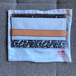 Coach Clutch Handbag
