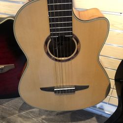 Electric/Acoustic Guitar 