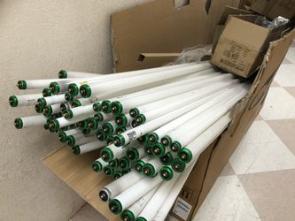 Lots of fluorescent tube lights