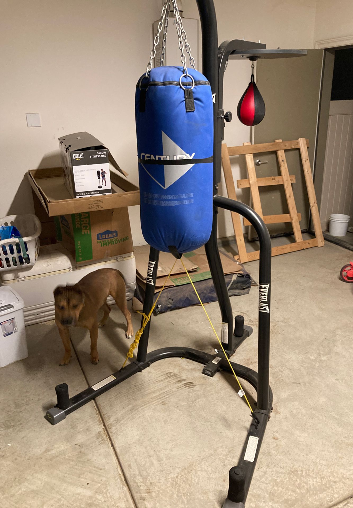 Everlast duo set heavy bag and speed bag