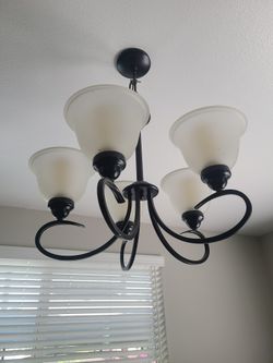 Light Fixture