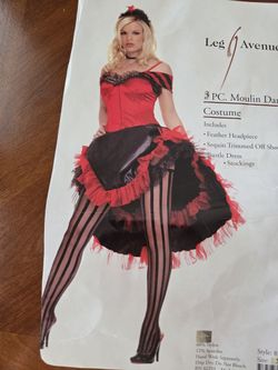 Adult Women's Moulin Costume