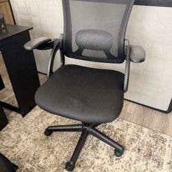 Moving Sale! Everything Must Go Today! 