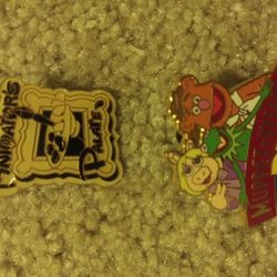 Disney Collectible And Tradeable Pins