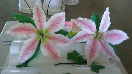 Pasteles caceros personalizados