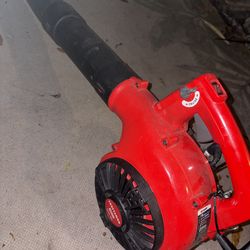 Craftsman  hand blower