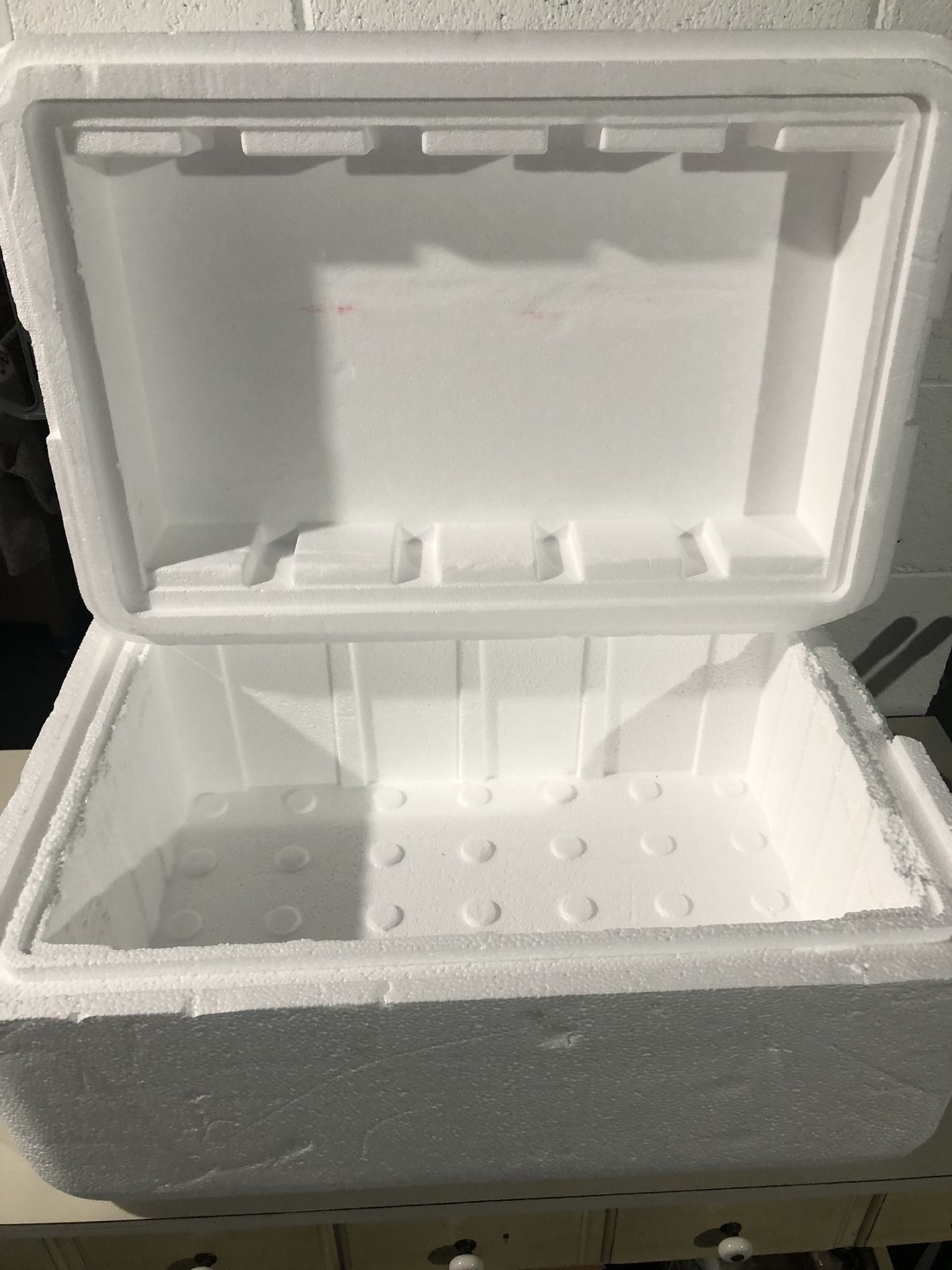 Styrofoam Cooler