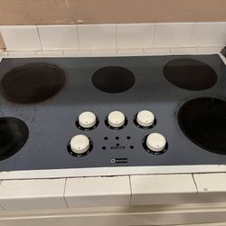 Maytag 36” Electric Cooktop