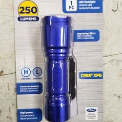 Ford Flash Light