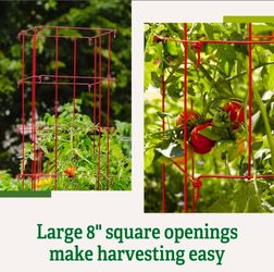 Tomato Cages
