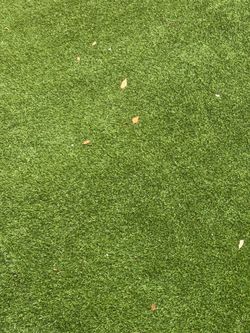 Turf / fake grass