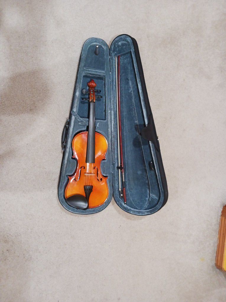 Skylark Brand Violin Full Size 4/4