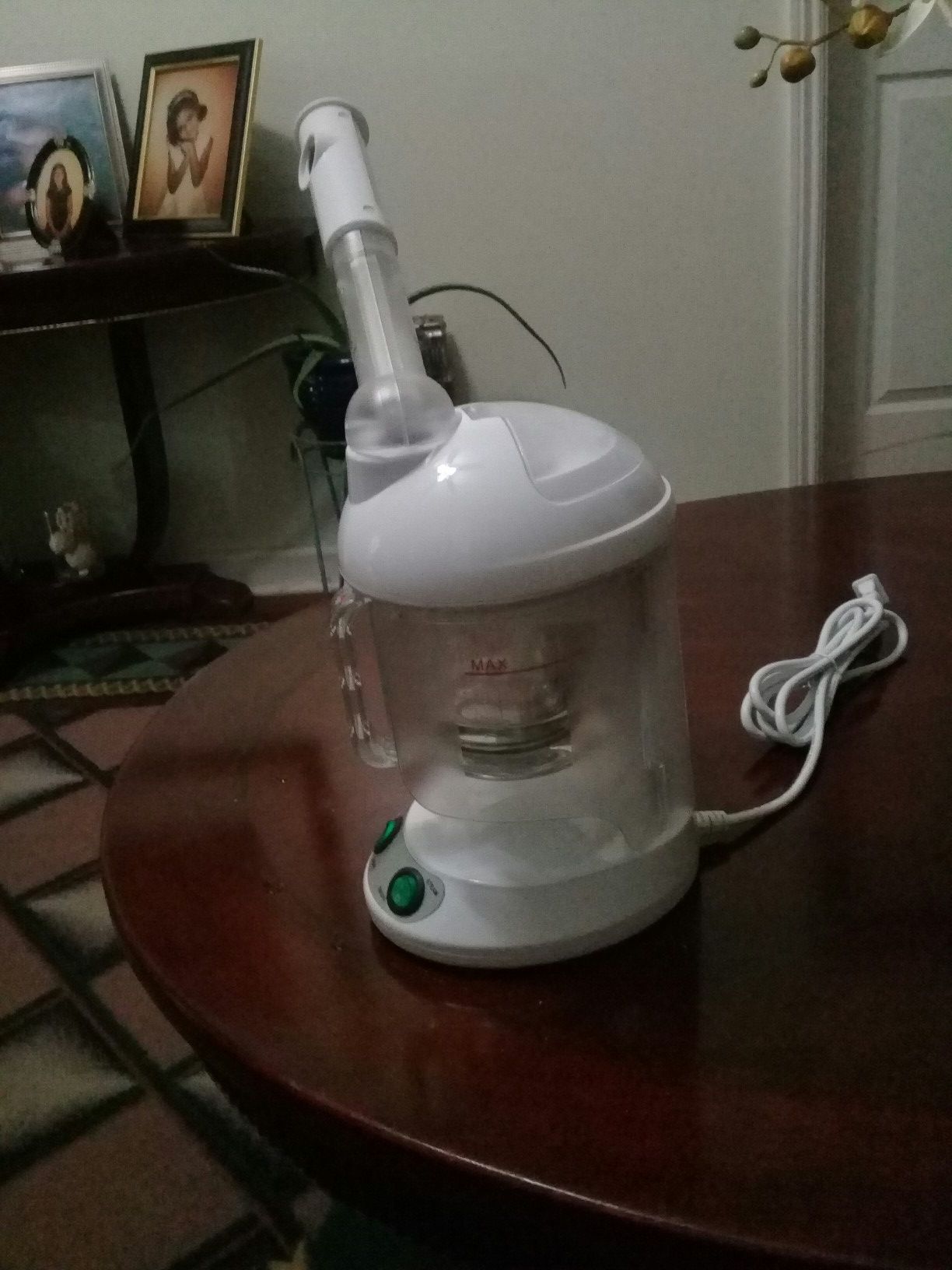 Facial steamer