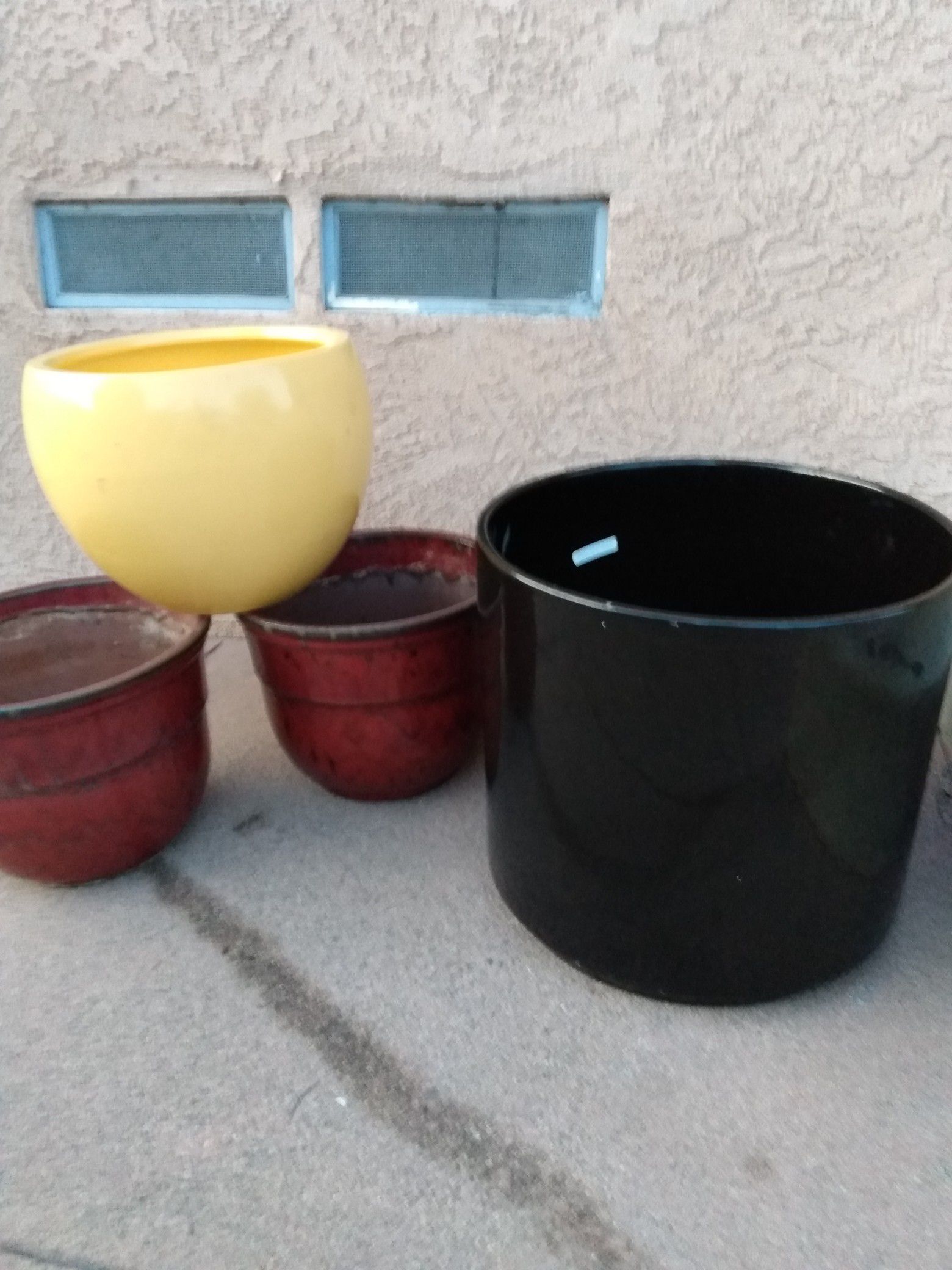 Plants pots for sell