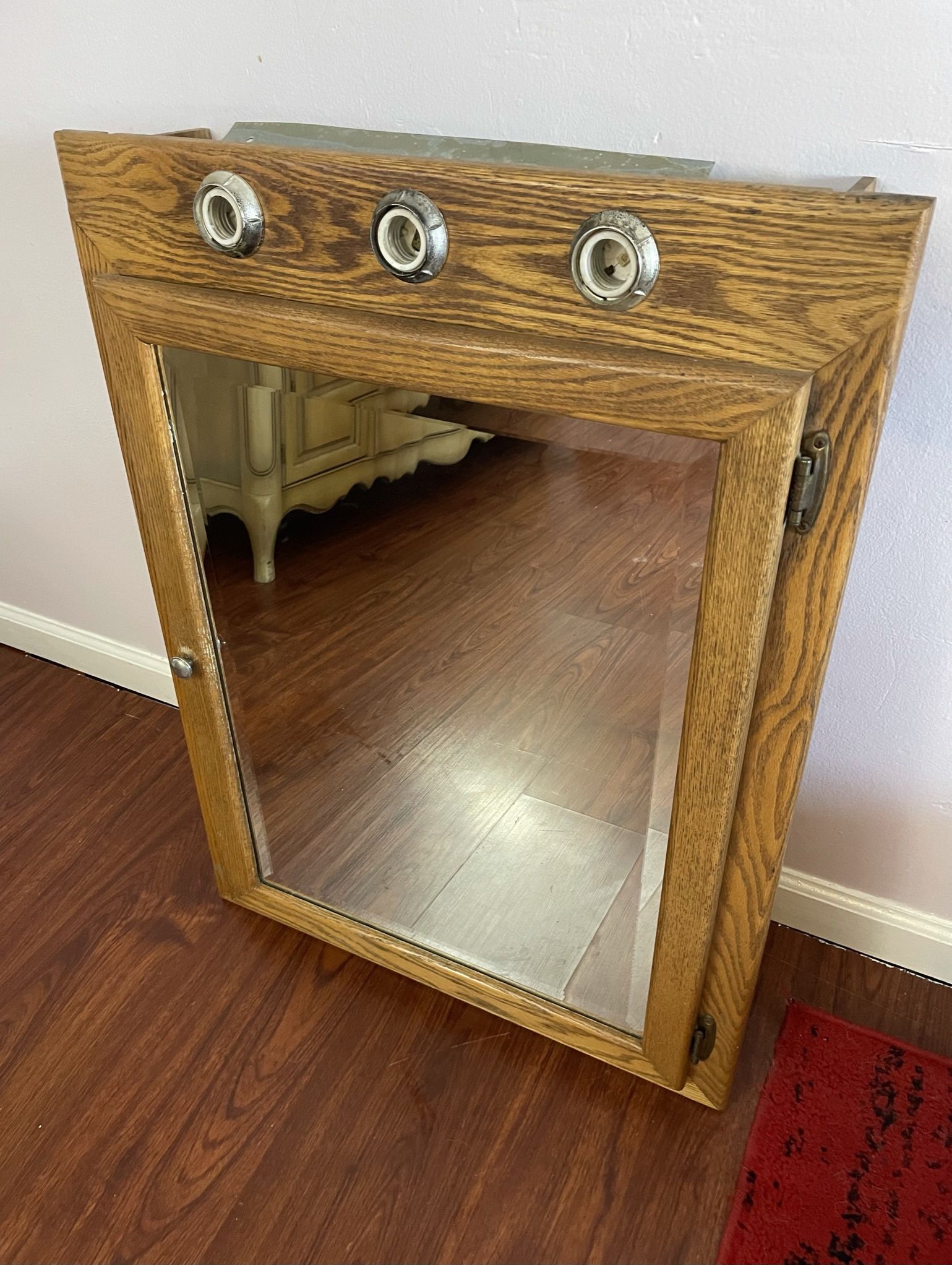 vanity Mirror Bathroom Cabinet Shelves Lighting