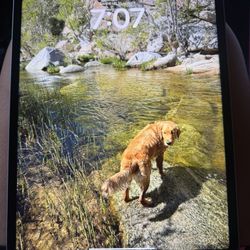 2022 Apple iPad Pro 128GB LIKE NEW!