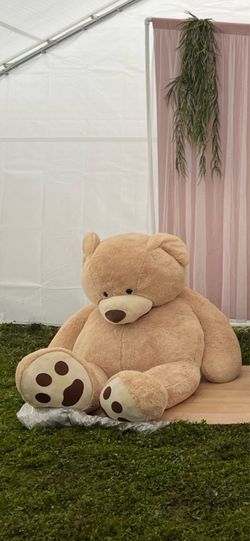 Costco Bear