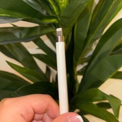 Apple Pencil iPad 3 Color Of White Got It From The Apple Store For 100