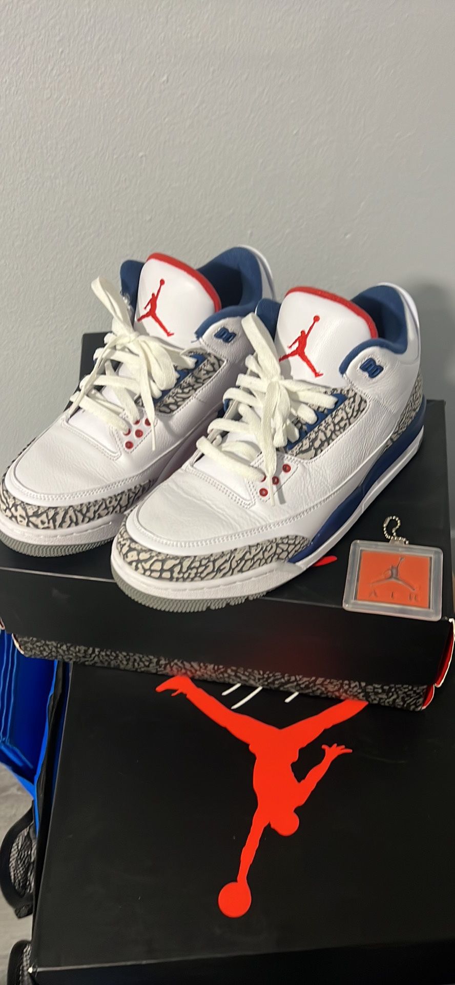 Air Jordan 3 True Blue 