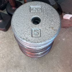 5 Pound 1 Inch Plates For Your Gym