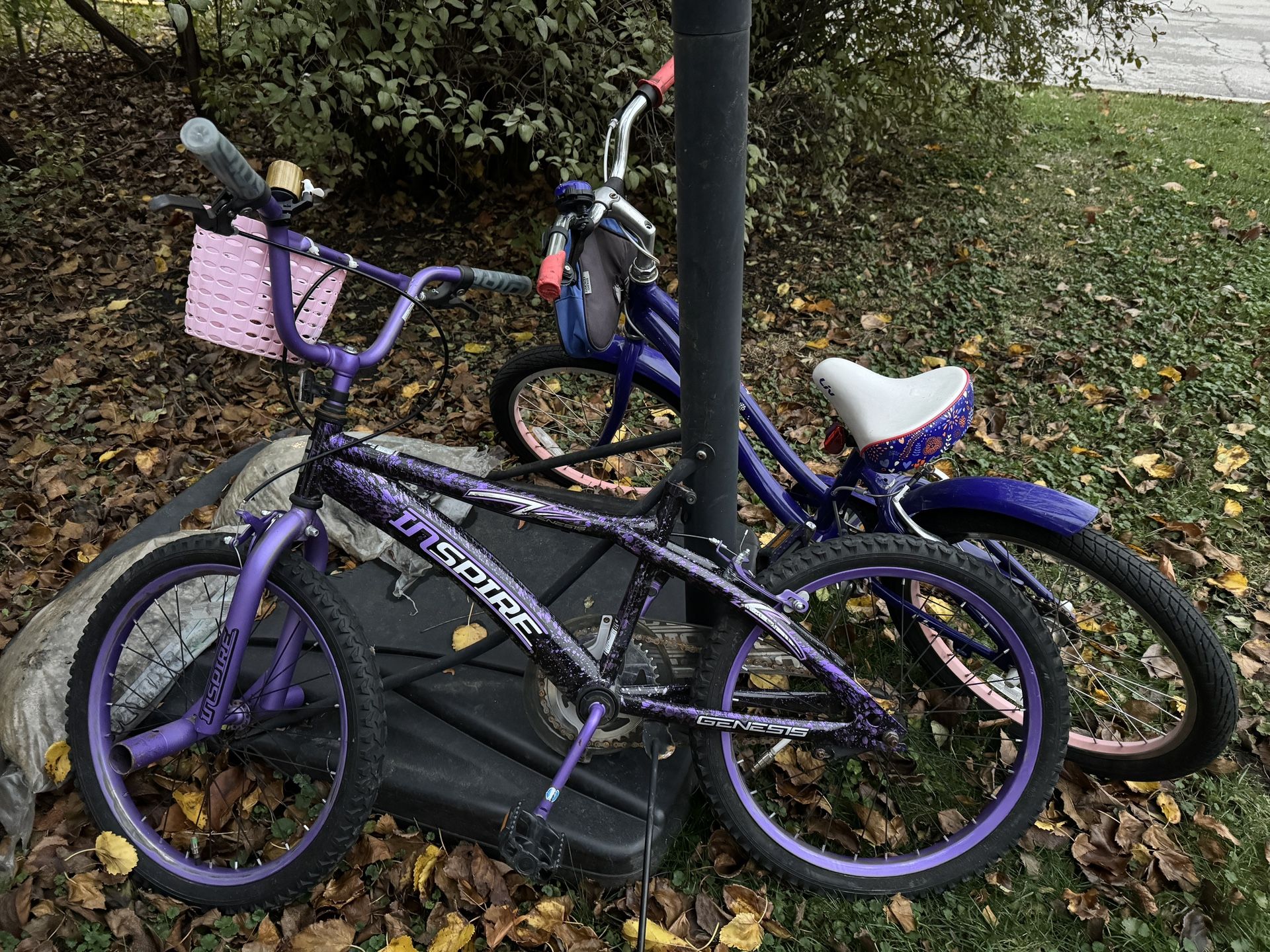(2) Girls Bikes - Purple - 20”