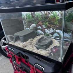 Tank