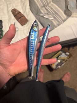 Saltwater fishing lures stickbaits