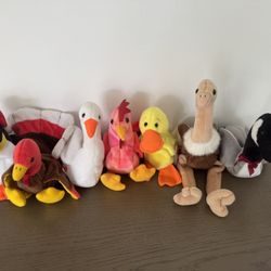 Beanie Baby Bird Collection $350