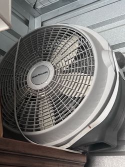 Fan