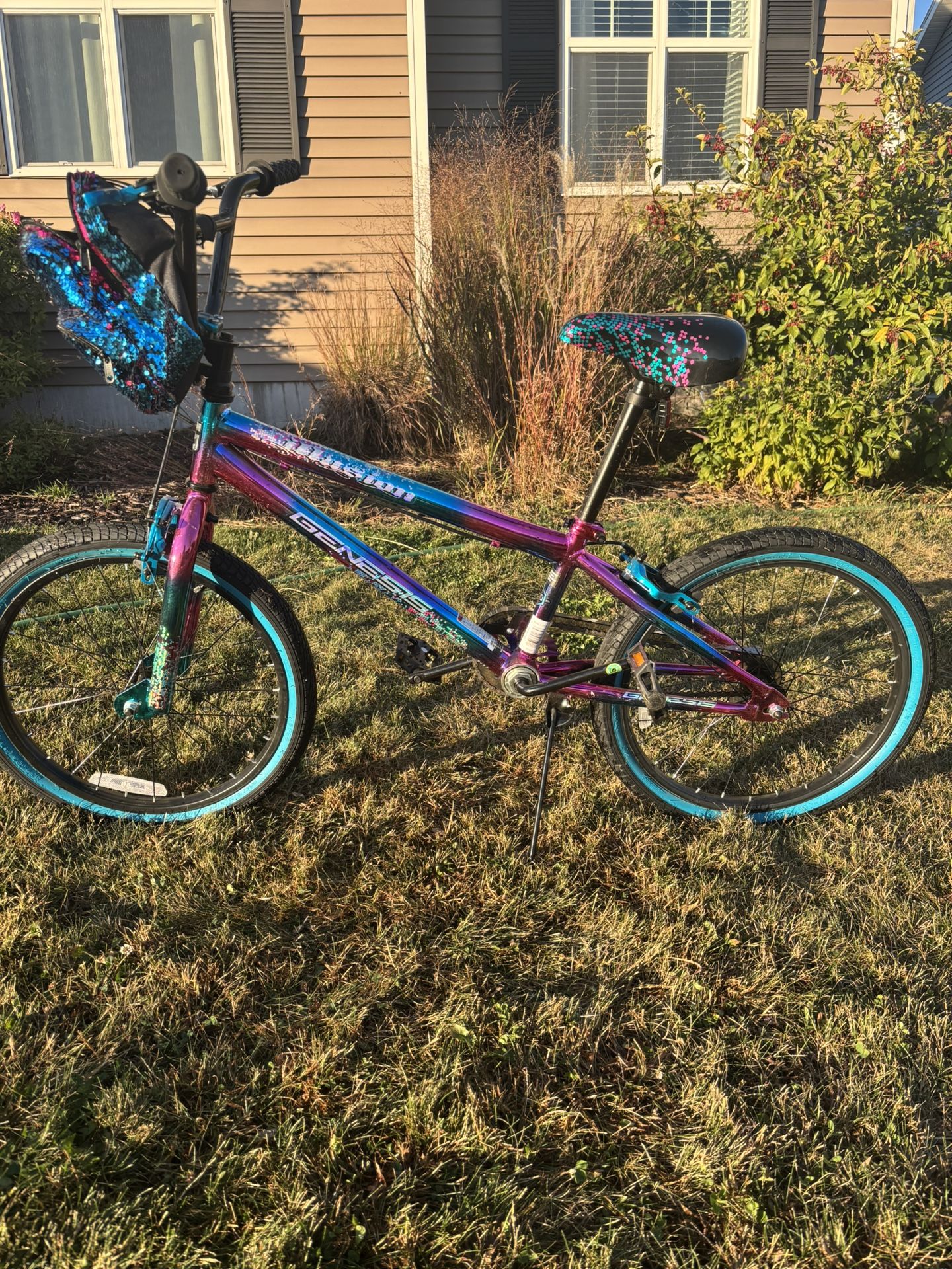 Kids Bike 20 Inch