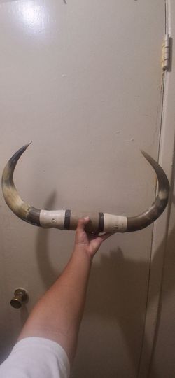 Horns