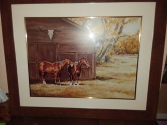Horse Pictures Custom Frames + Free Gift