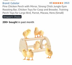 Cubolar Pine Chicken Perch with Mirror